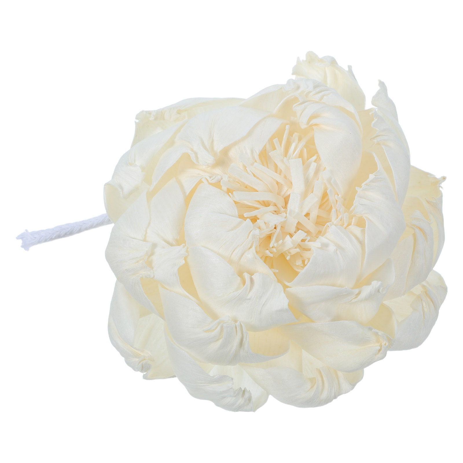 Diffuseur de parfum tête de pi - Fragrance In Home avis et prix