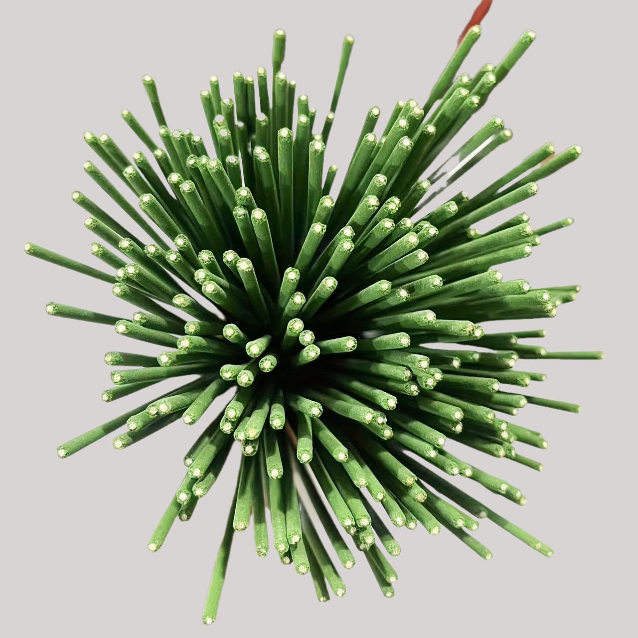 Bâtons de diffuseur de roseaux - Home Fragrance Vaporizer avis et prix